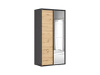 Sliding wardrobe Flex 120 cm with mirror graphite/Artisan oak